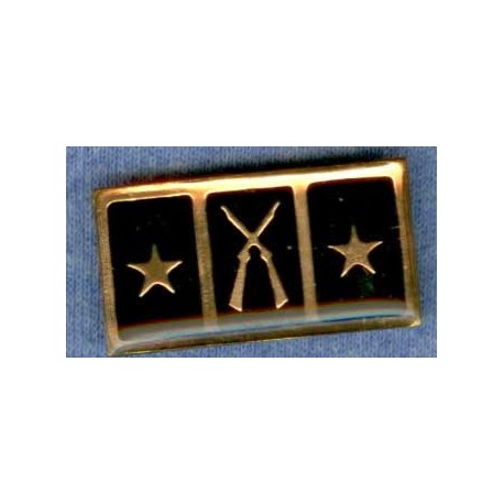 MILITARY OLD PIN