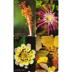 FLOWERS PHONE CARD